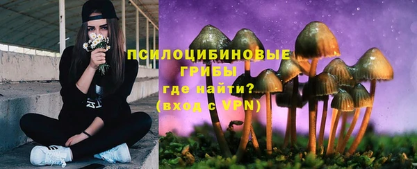 круглые Алзамай