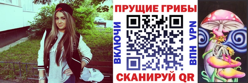 Псилоцибиновые грибы ЛСД  Стародуб 
